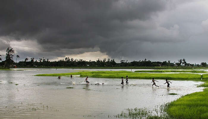 17 Enchanting Road Trips From Kolkata For Epic Escapes In 21