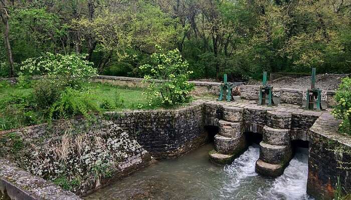 dachigam