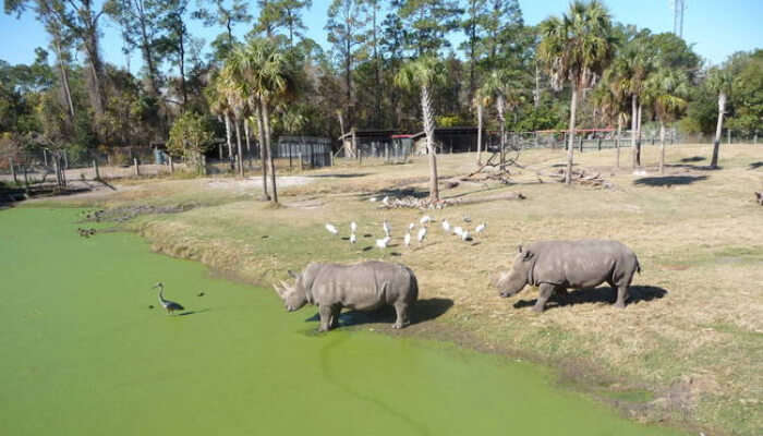 Jacksonville Zoo