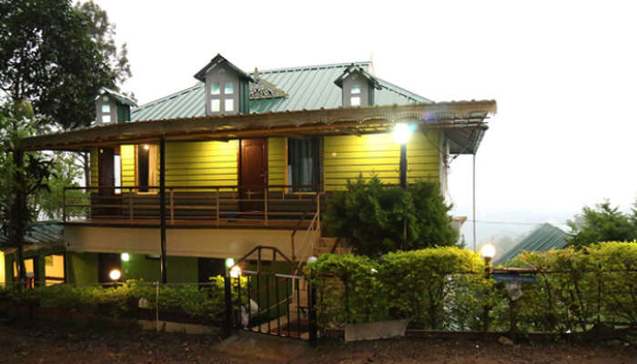 Decorated Stay with Lights