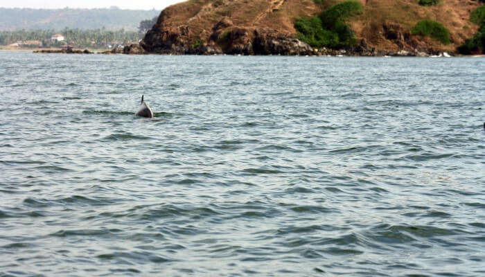 baga beach