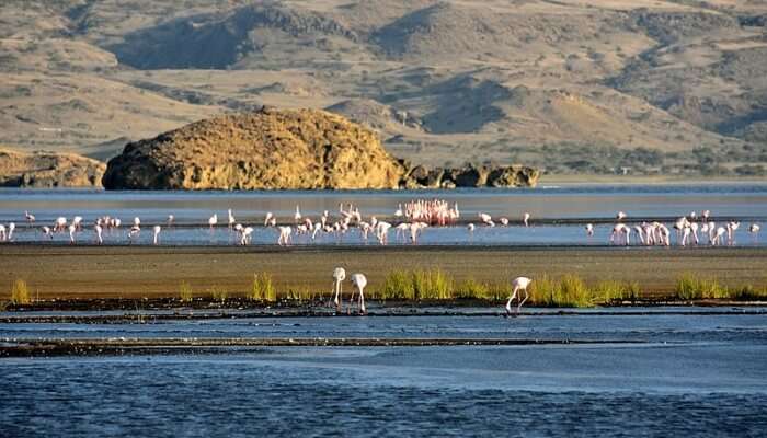 Lake-Natron_6th-dec.jpg
