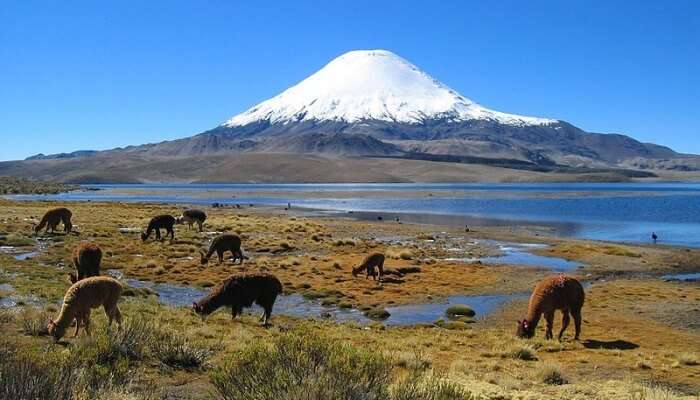 Лаука Национальный парк Лаука