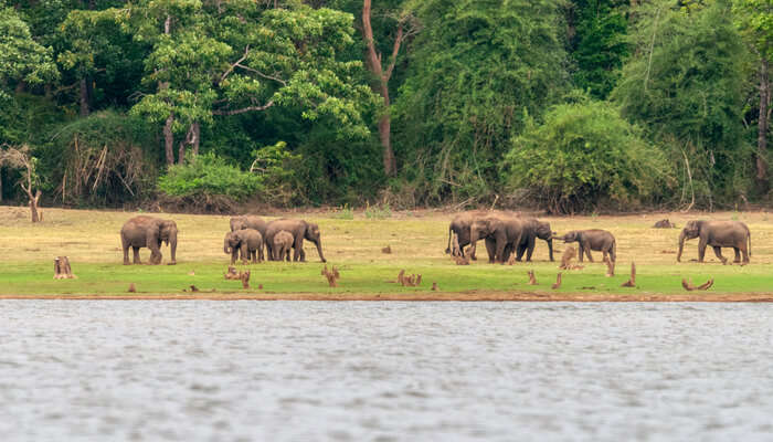 National Park
