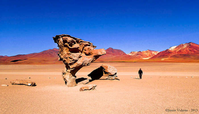 Reserva Eduardo Avaroa в Южной Америке