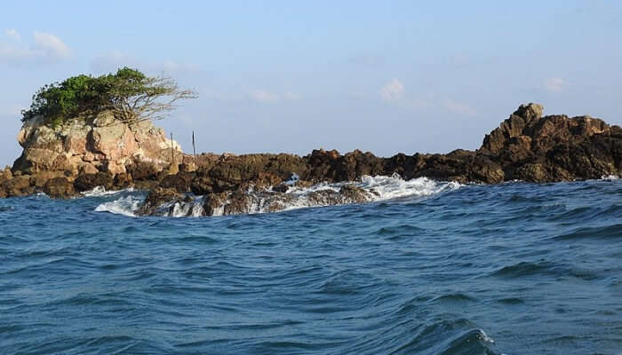 Snake-Island_6th-dec.jpg
