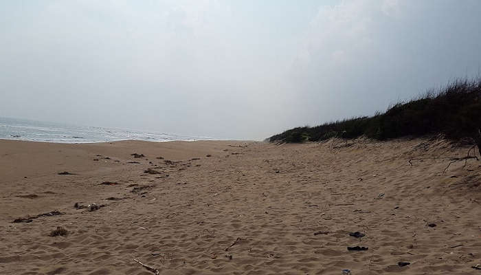 Chandrabhaga Beach