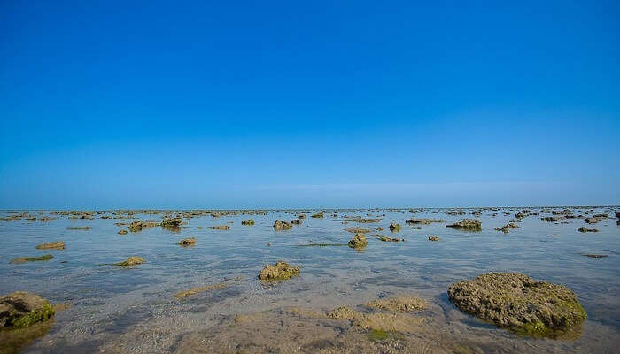 Marine National Park holidays Places gujarat india