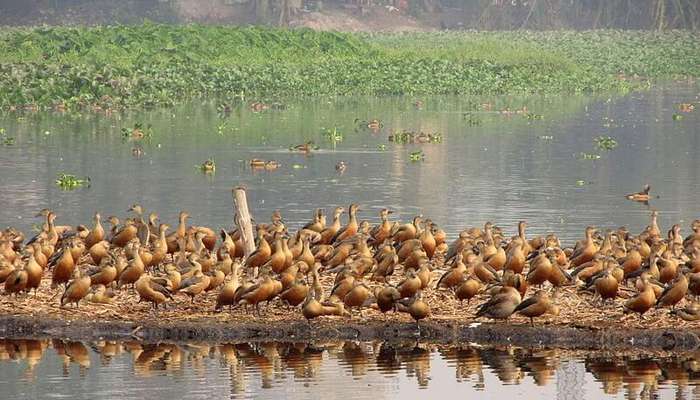 24 Picnic Spots Near Kolkata You Ought To To Visit In 2020