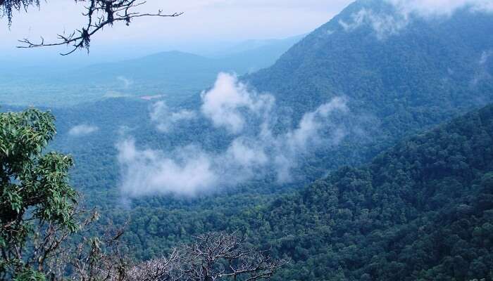 Agumbe