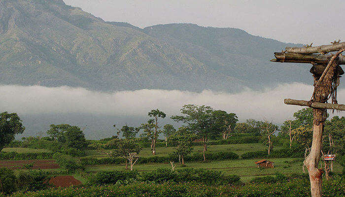 Hills