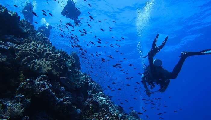 experiencing scuba diving in Cairns underwater