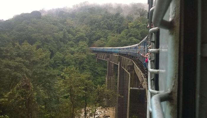 Train view