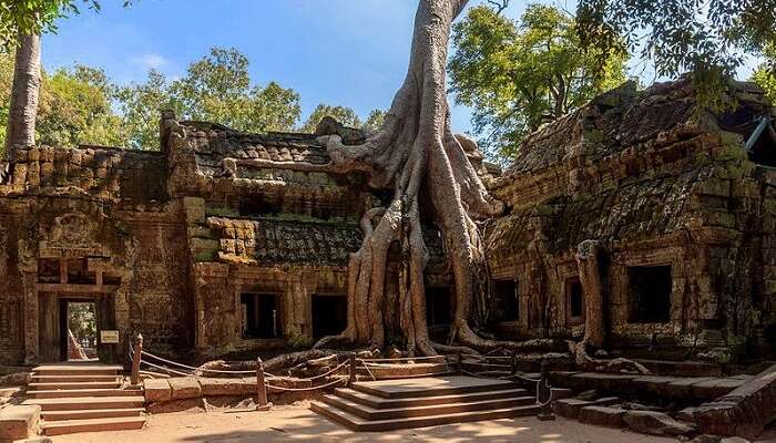  Siem Reap 