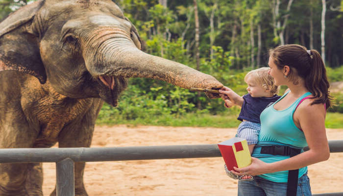 Most Famous Zoos In Bangkok