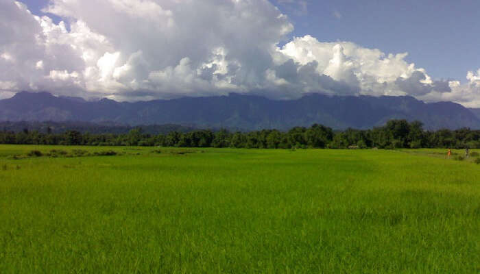 lilabari mountains