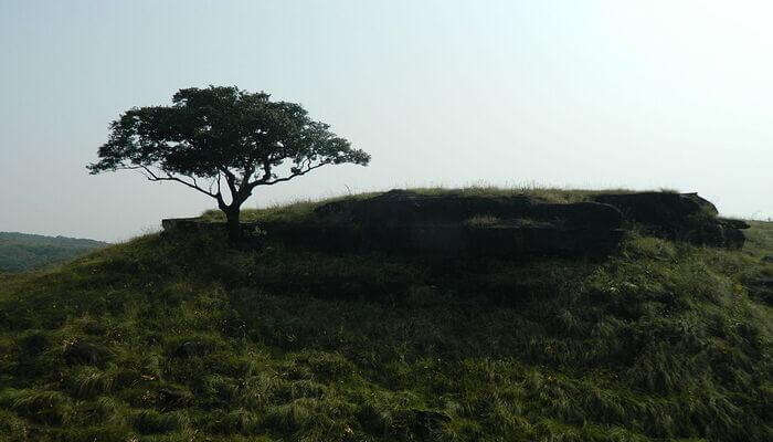 Balpakram National Park