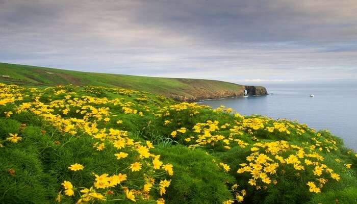 Channel Islands