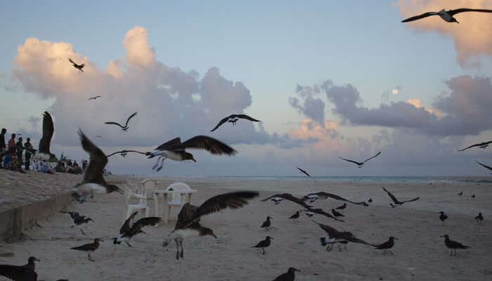 Salalah Beach