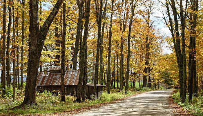 Vermont Countryside