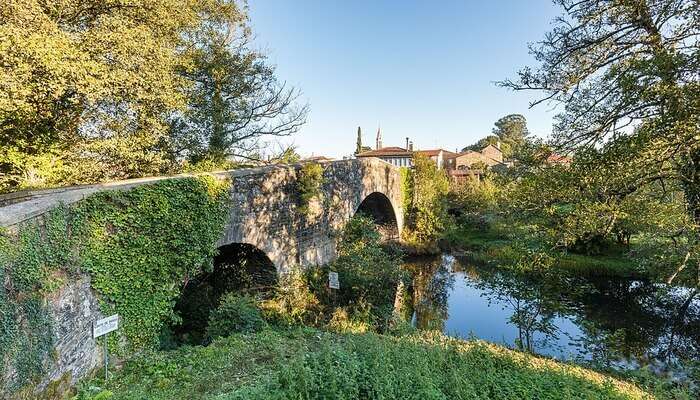 Walk The Camino