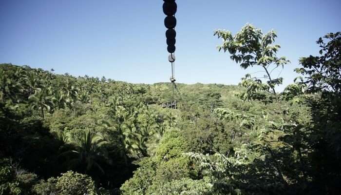 best activity of zip line equipment