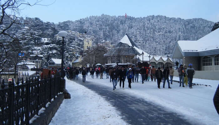 Shimla