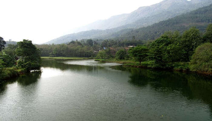 Thodupuzha River and Hills