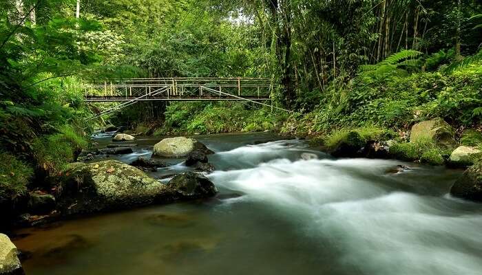 Mountain,River,Ayung Bali