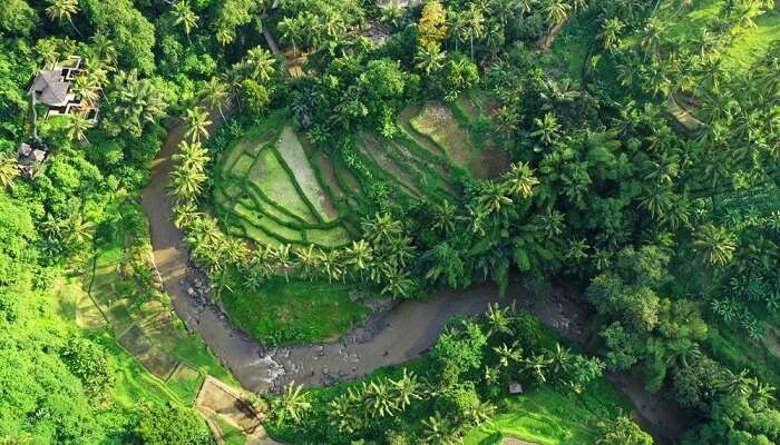 Beautiful,View,Of,Rice,Terraces,And,Ayung,River,,Sayan,Village,