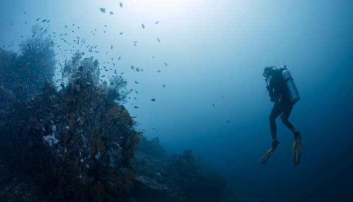 Diving in Amed