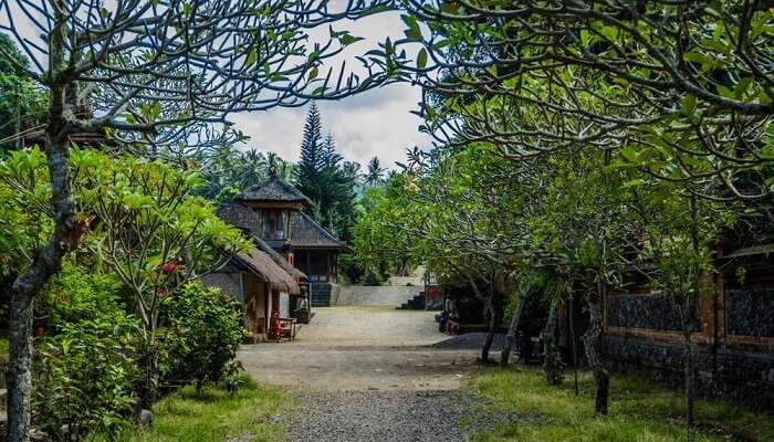 Traditional Bali Village