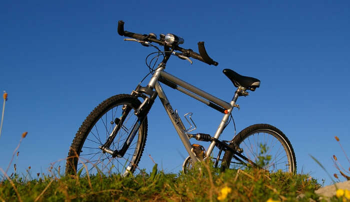 Bicycle Tour