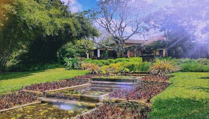 Brief Garden, one of the best places to visit in Bentota for a leisurely stroll.