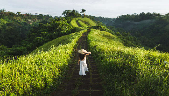 Campuhan Ridge Walk