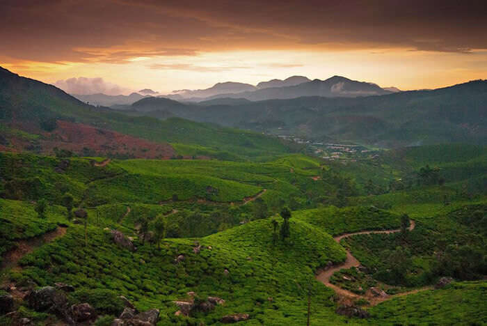 The village of Chinnakanal near Munnar