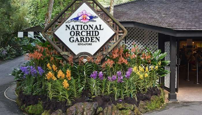 National Orchid Park, Singapore tourist attractions