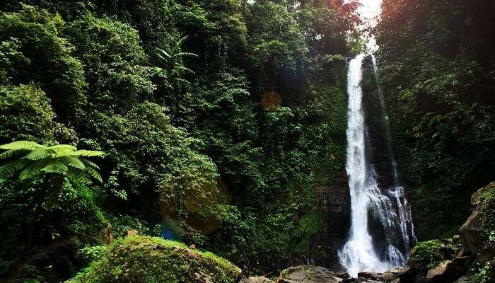 Git Git Waterfalls