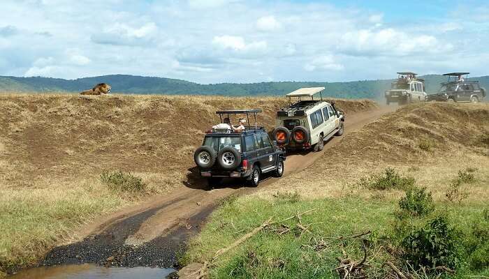 Jeep Safari Tour