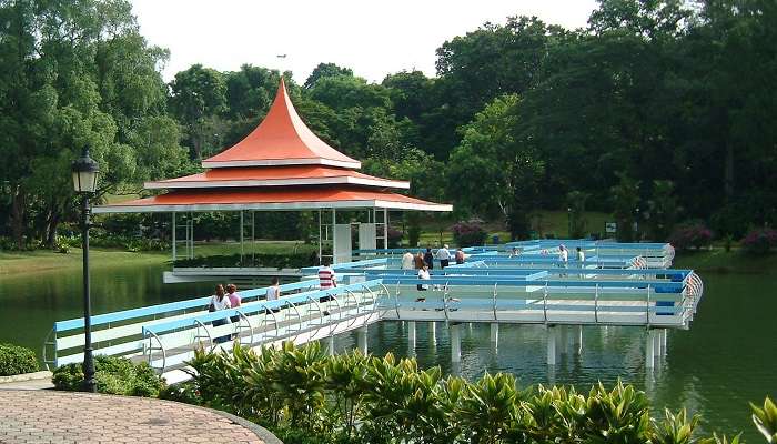 MacRitchie Reservoir, singapore tourist attractions