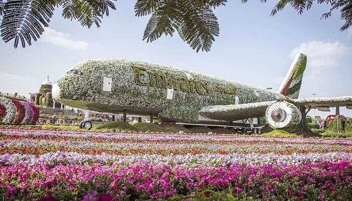 Dubai Miracle Garden