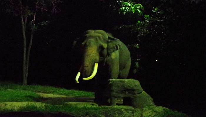 Night Safari, Singapore tourist attractions