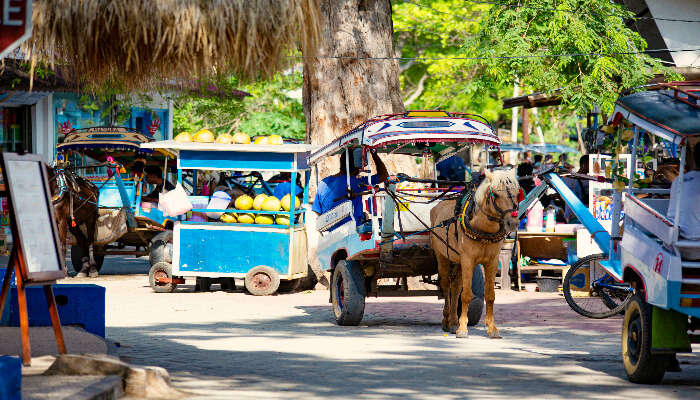 Ponny ride at Bali Zoo