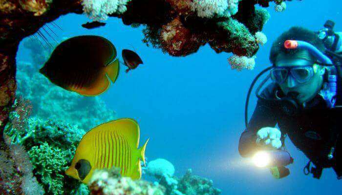 Scuba Diving in Bali_23rd oct