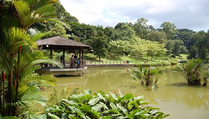 Singapore Botanical Gardens, one of the best Singapore tourist attractions