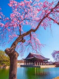 korean beautiful places to visit