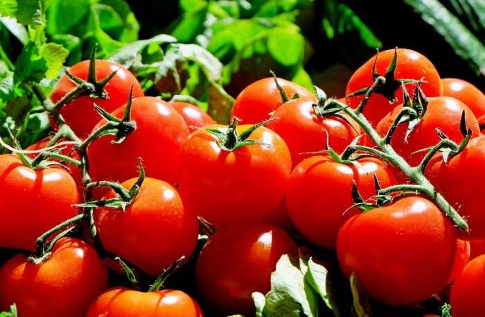 Vegetables View