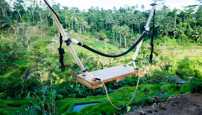 Terrace River Pool Swing