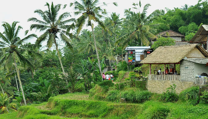 Tegalalang Village