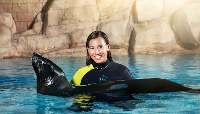 Atlas Village Sea Lion Dip & Play Woman In Water